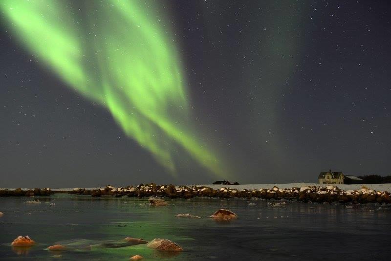 Borghildstua Feriehus Melbu Rom bilde